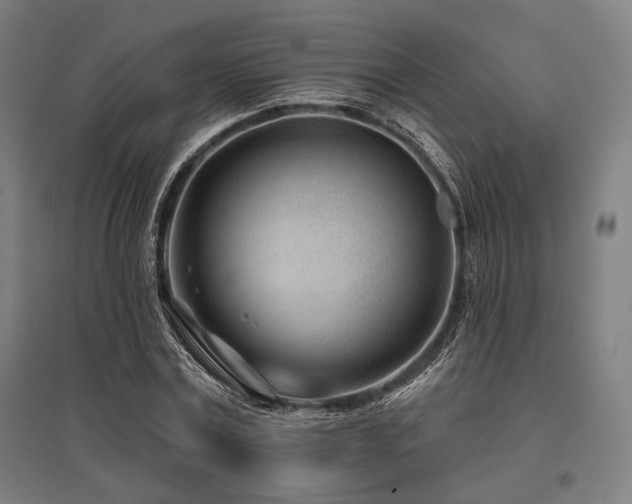 X0000096150779200801181201
