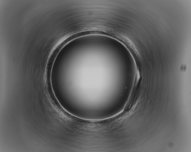 X0000096150780200801181201