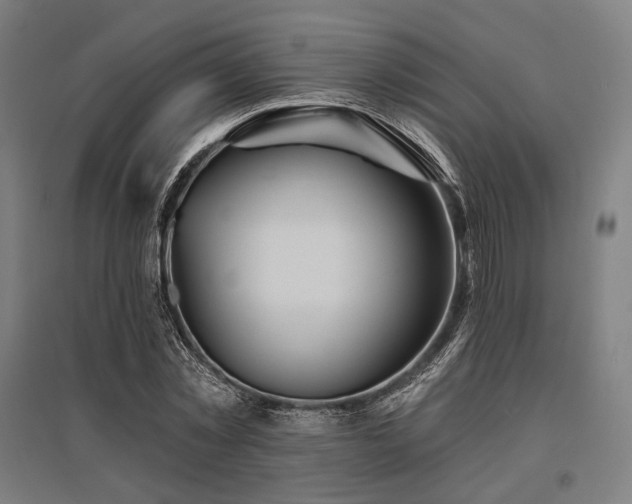 X0000096150781200801181201