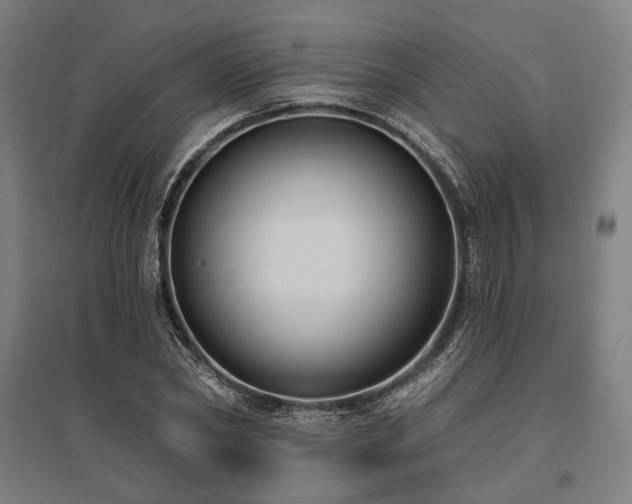 X0000096150782200801181201