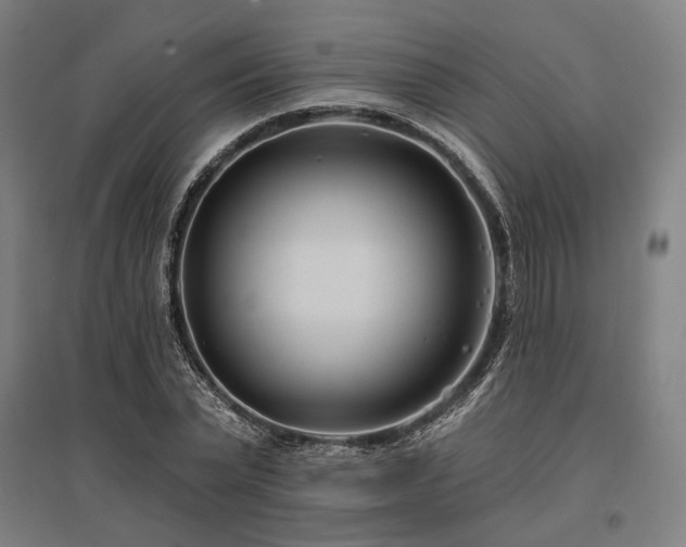 X0000096150783200801181201