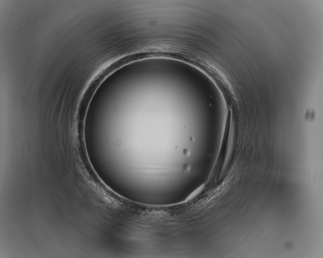 X0000096150784200801181201