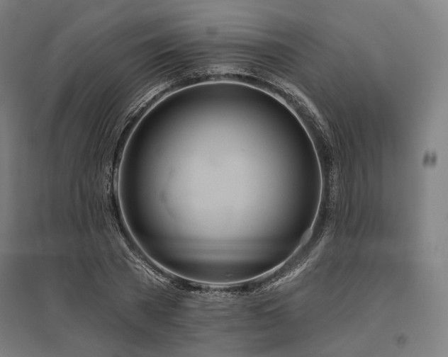 X0000096150785200801181201