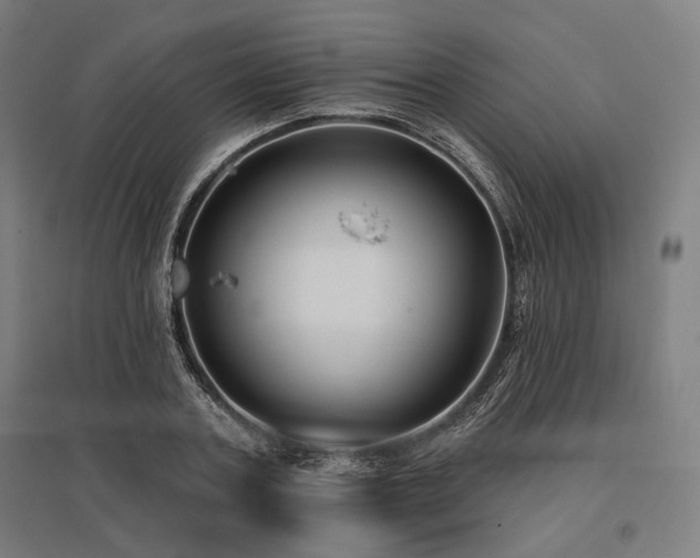 X0000096150787200801181201
