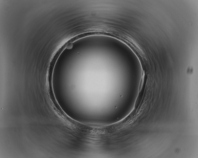 X0000096150788200801181201