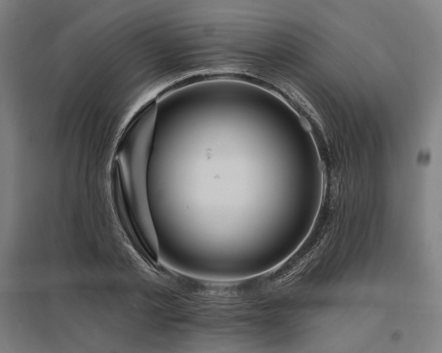 X0000096150789200801181201