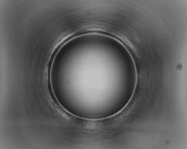X0000096150790200801181201