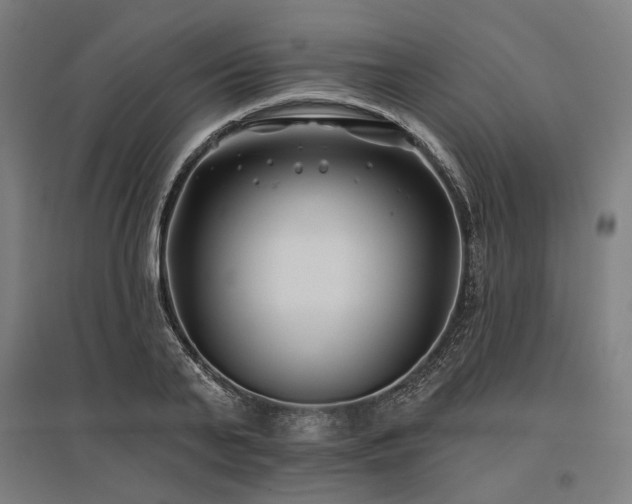 X0000096150791200801181201