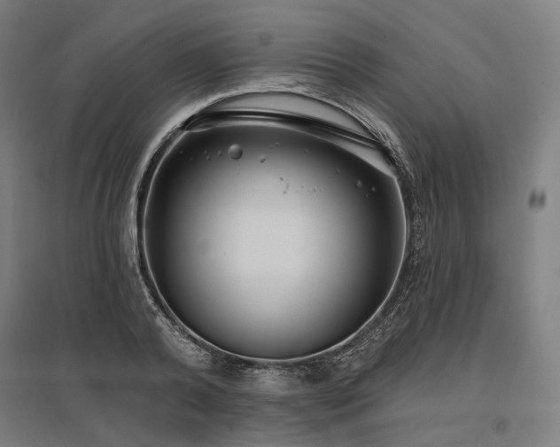 X0000096150792200801181201