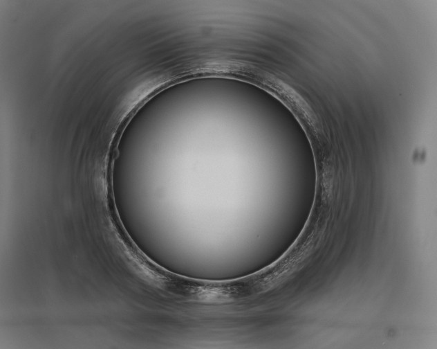 X0000096150794200801181201