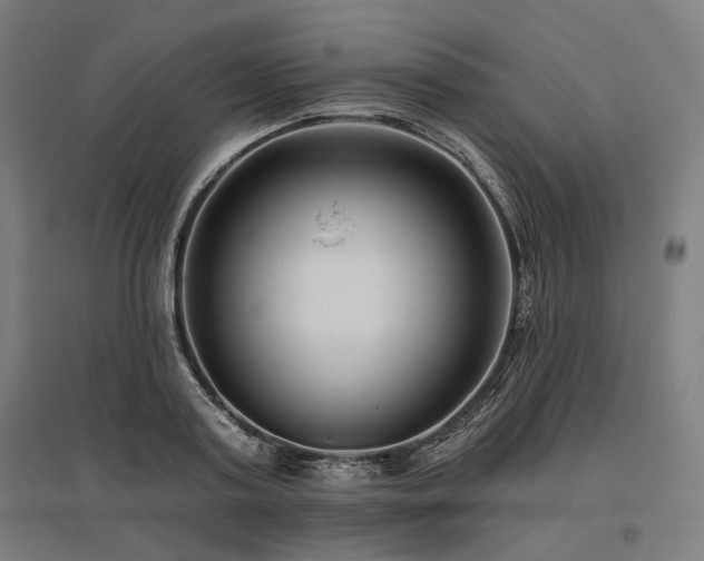 X0000096150795200801181201