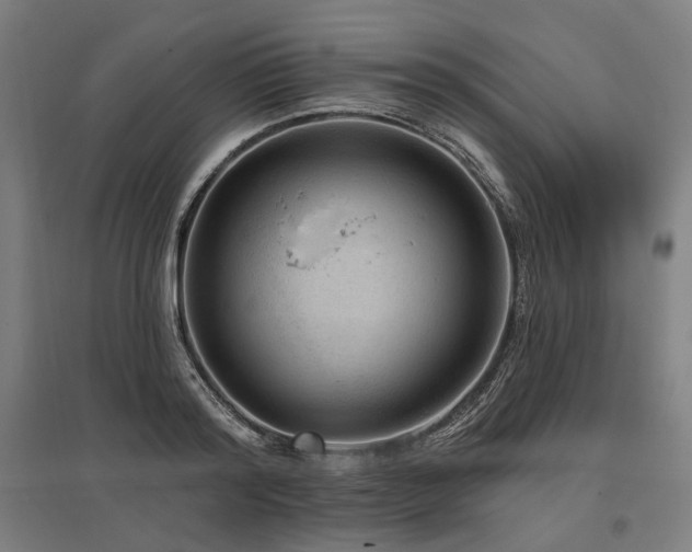 X0000096150796200801181201