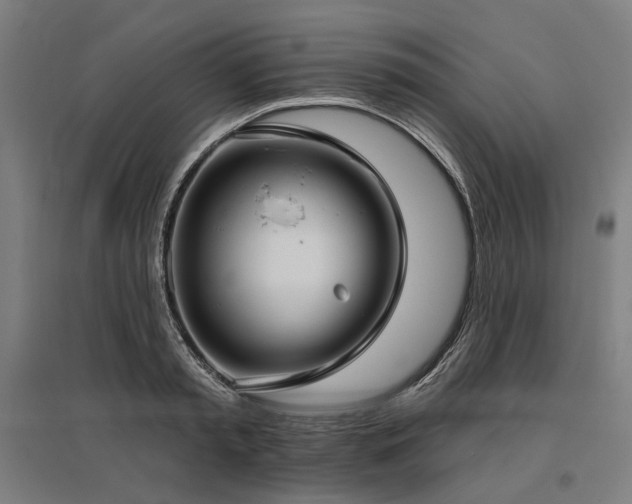 X0000096150797200801181201