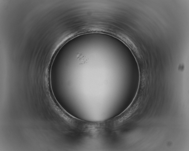 X0000096150798200801181201