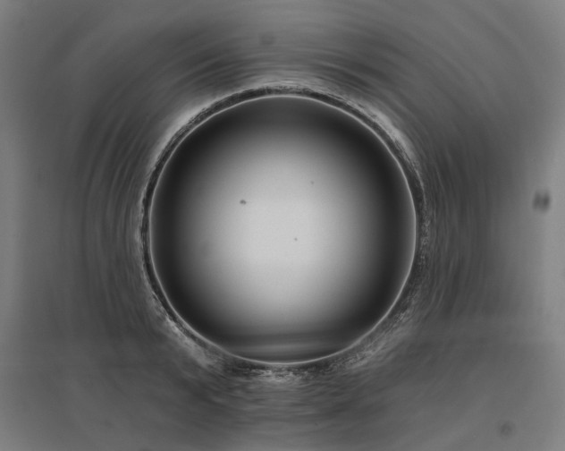 X0000096150799200801181201