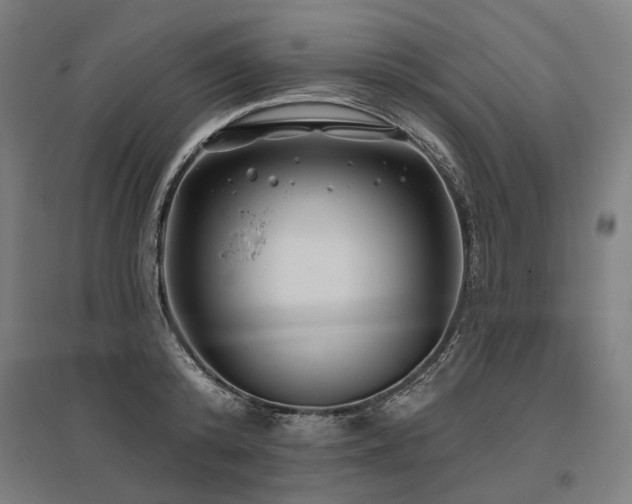 X0000096150800200801181201