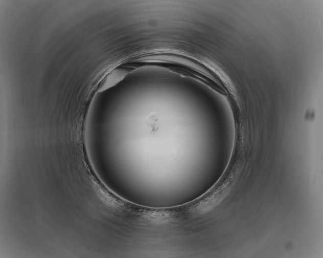 X0000096150801200801181201
