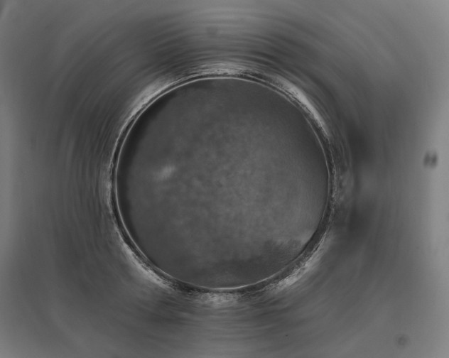 X0000096150802200801181201