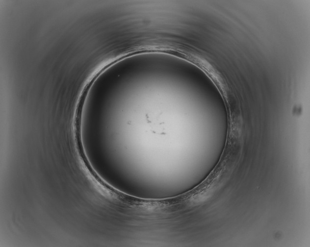X0000096150803200801181201