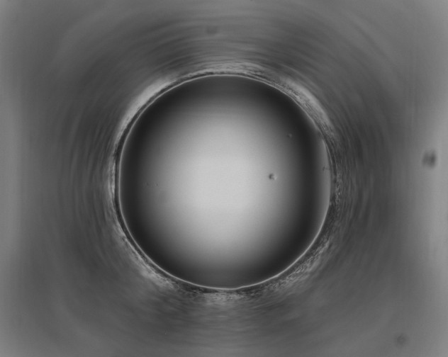 X0000096150804200801181201