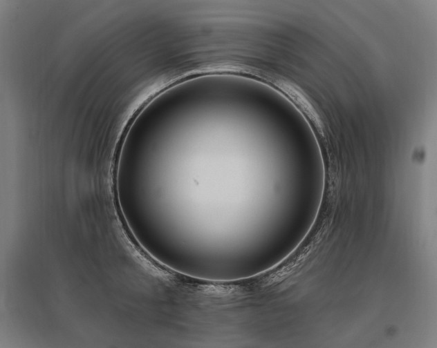 X0000096150805200801181201
