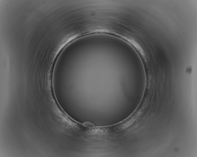 X0000096150806200801181201