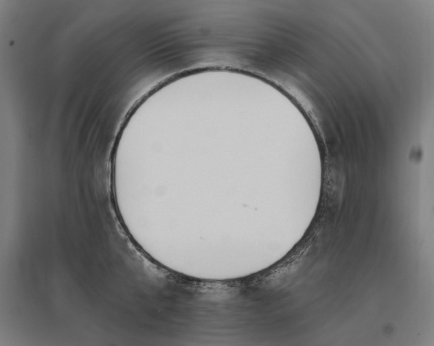 X0000096150807200801181201