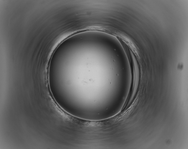 X0000096150808200801181201