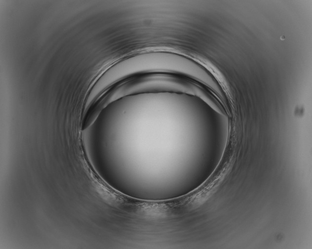 X0000096150809200801181201