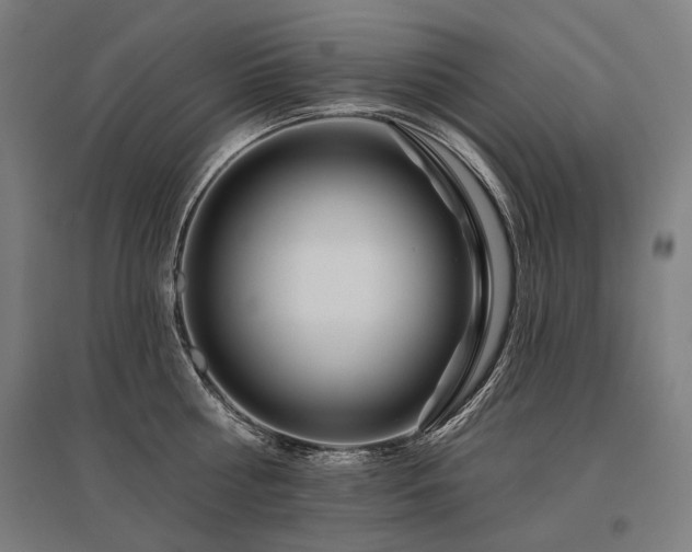 X0000096150810200801181201
