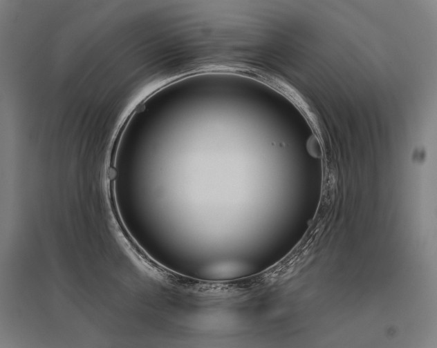 X0000096150811200801181201