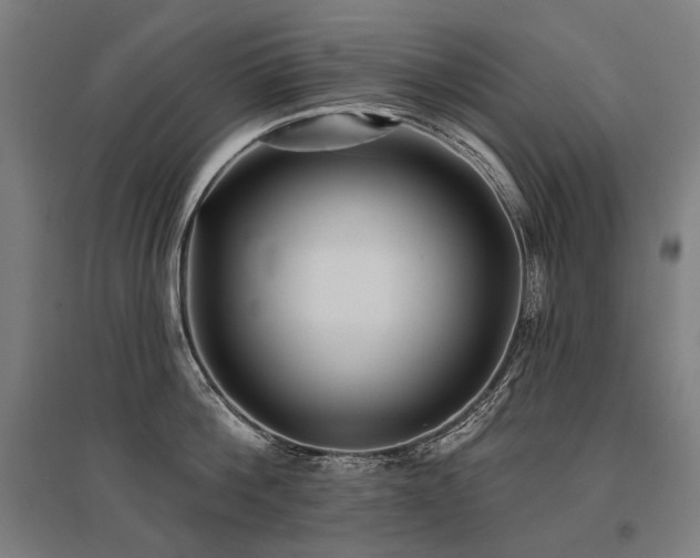 X0000096150812200801181201
