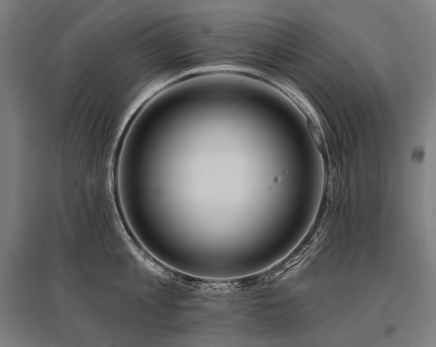 X0000096150813200801181201