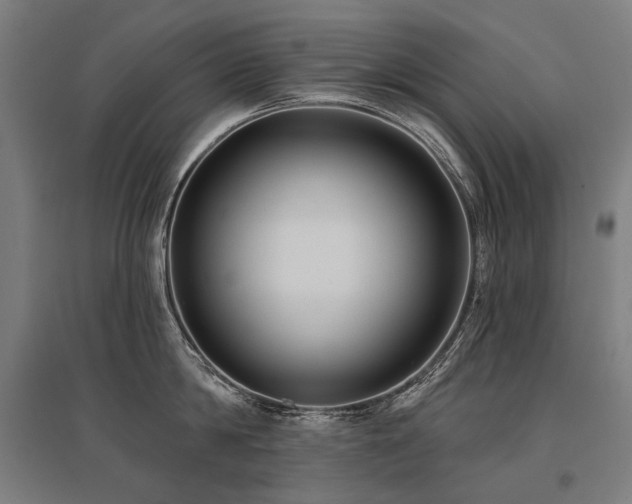X0000096150814200801181201