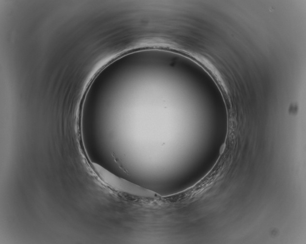 X0000096150815200801181201