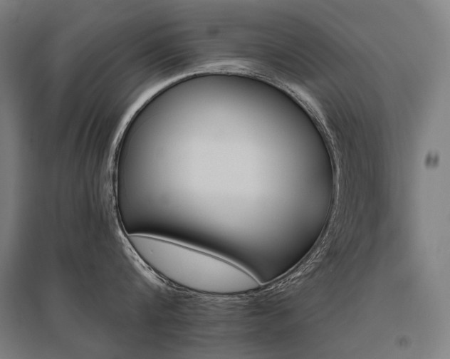 X0000096150816200801181201