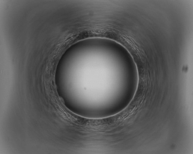 X0000096150817200801181200