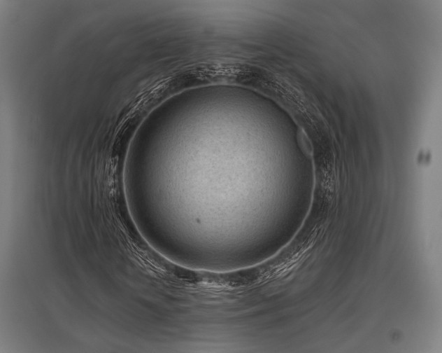 X0000096150818200801181200