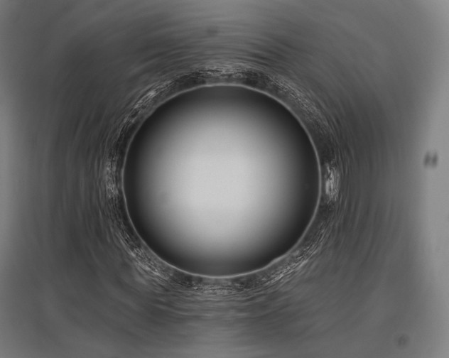 X0000096150819200801181200