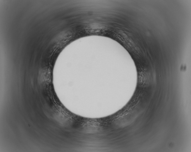 X0000096150820200801181200