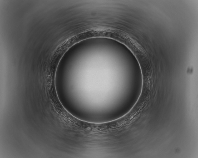 X0000096150821200801181200