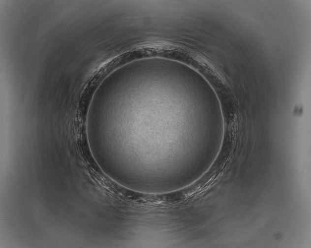 X0000096150822200801181200