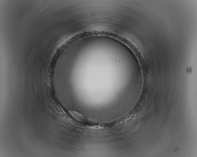 X0000096150823200801181200