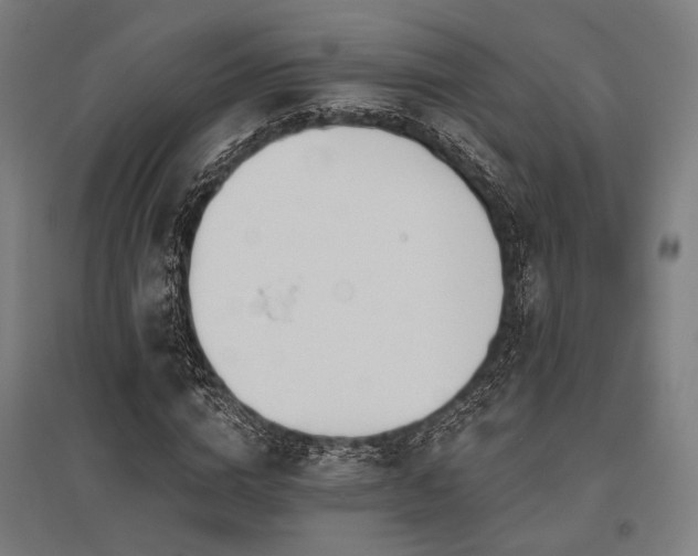X0000096150824200801181200