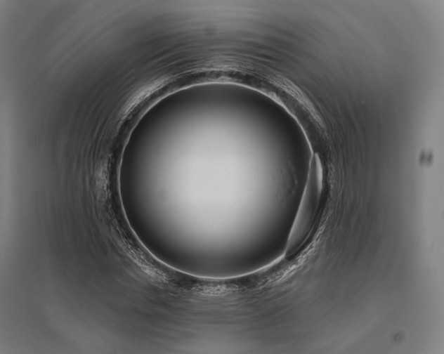 X0000096150826200801181200