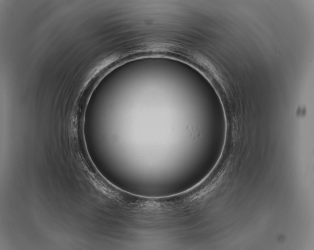 X0000096150827200801181200