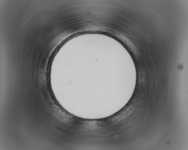 X0000096150828200801181200
