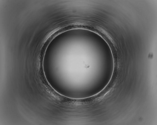 X0000096150829200801181200