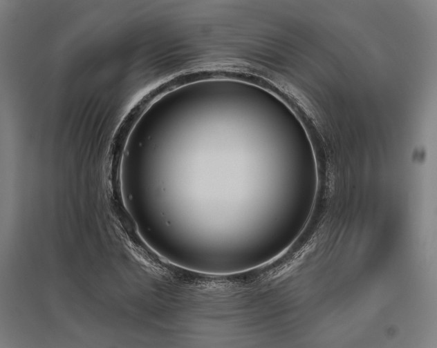 X0000096150830200801181200