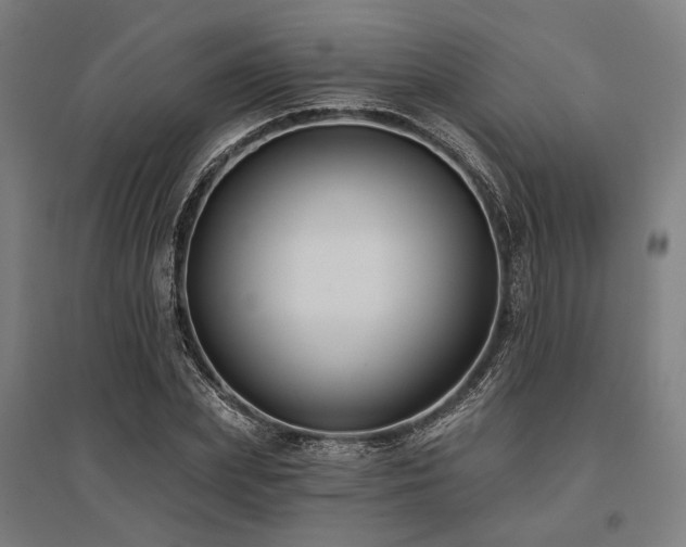X0000096150831200801181200
